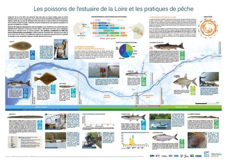 102422 5599 pan poissons web large large
