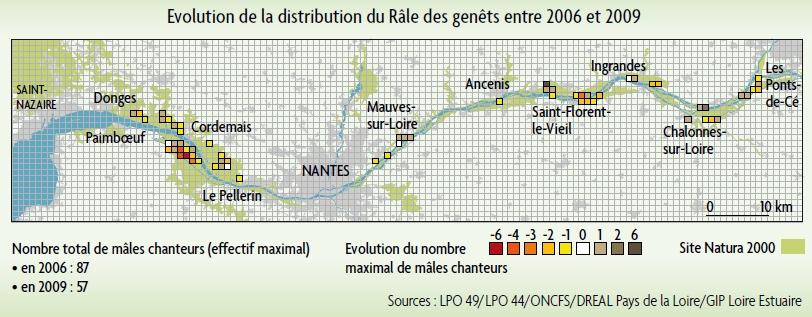 evolution de la distribution du rale des genets entre 2006 et 2009